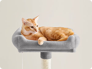 TIRAGRAFFI PER GATTI ,143CM