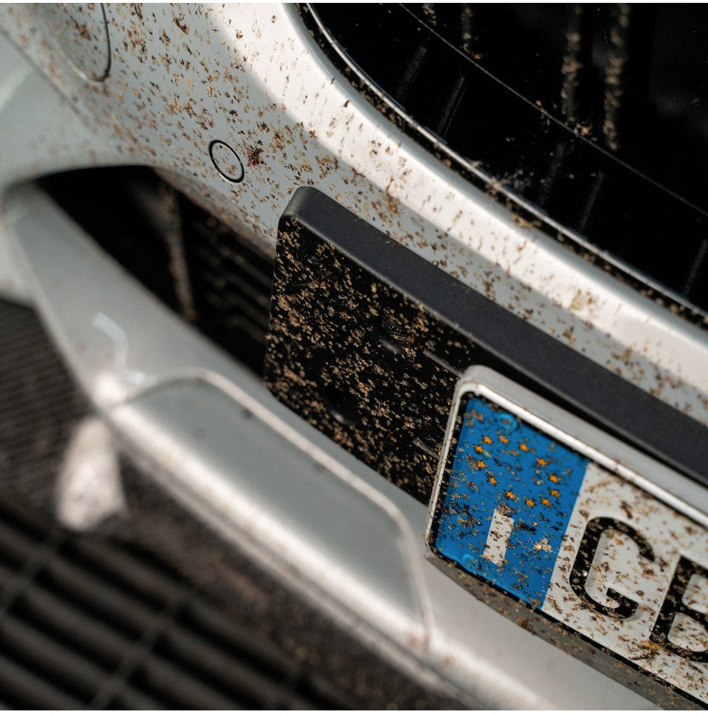 INSECT REMOVE